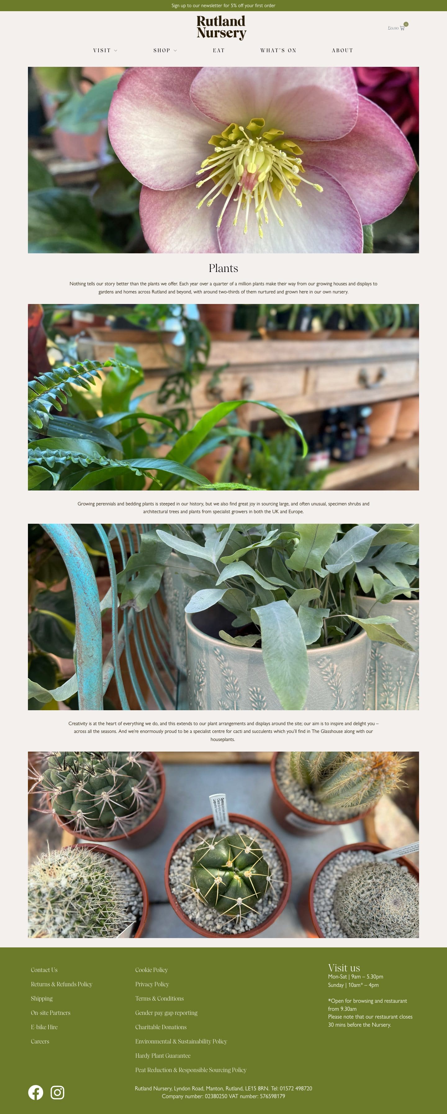 Plants
